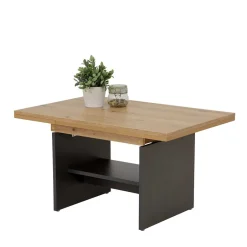 Pharao24 Wohnzimmertisch Dusti> Ausziehtische