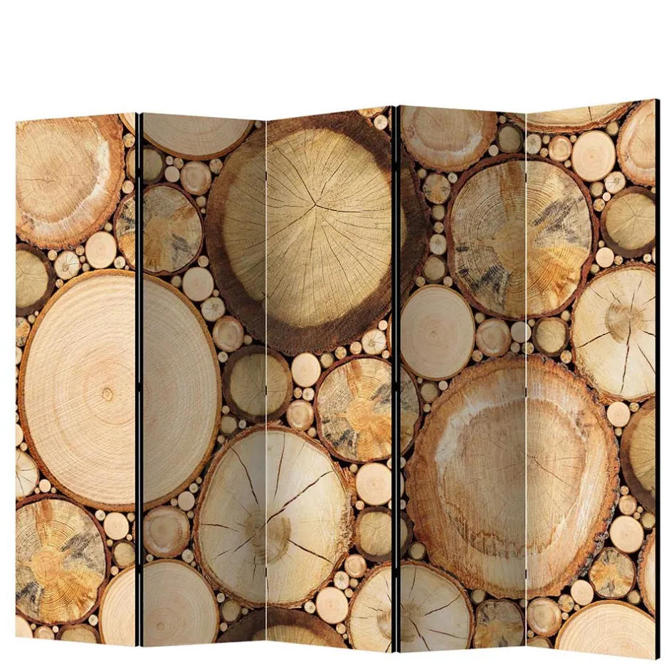 Paravents|Raumteiler*Pharao24 Zimmer Sichtschutz Cemzaja