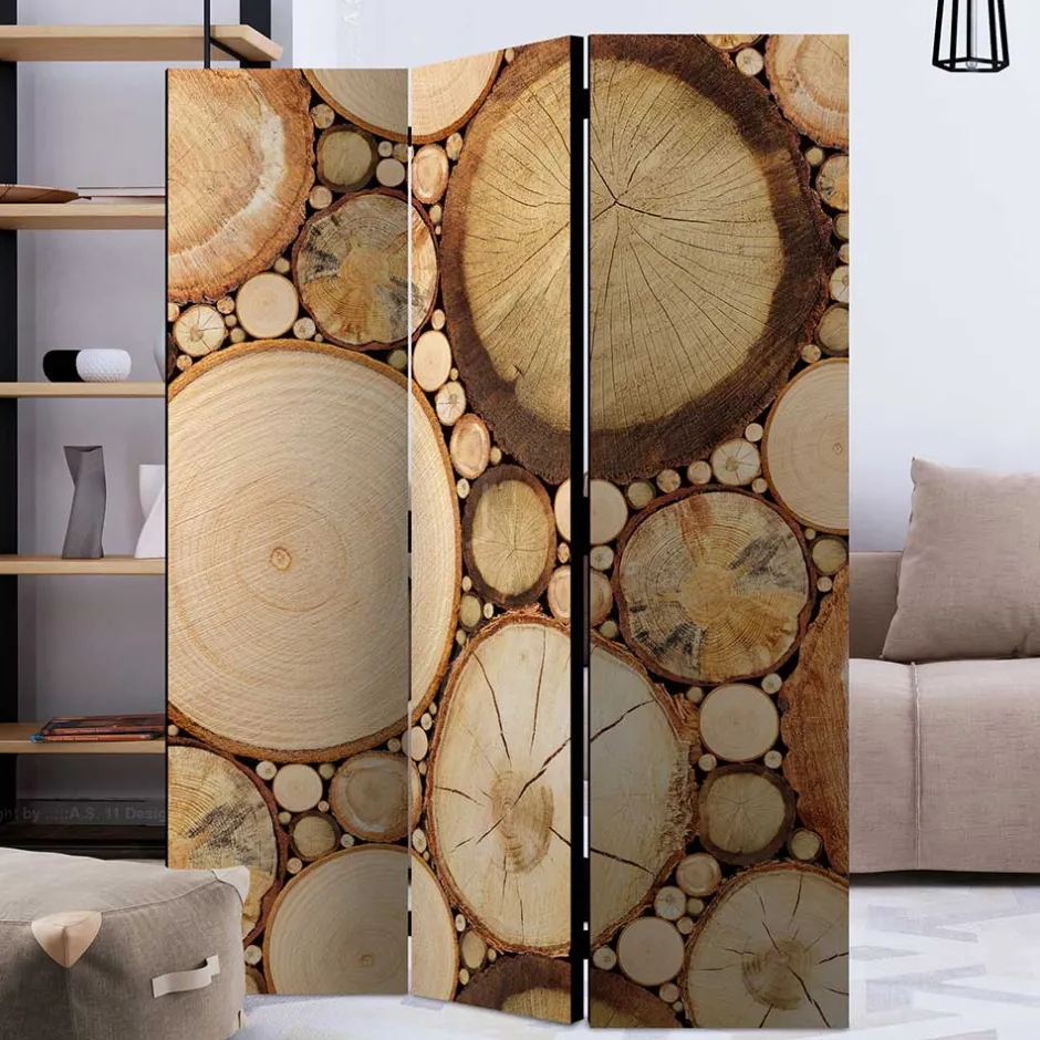 Paravents|Raumteiler*Pharao24 Zimmer Sichtschutz Cemzaja