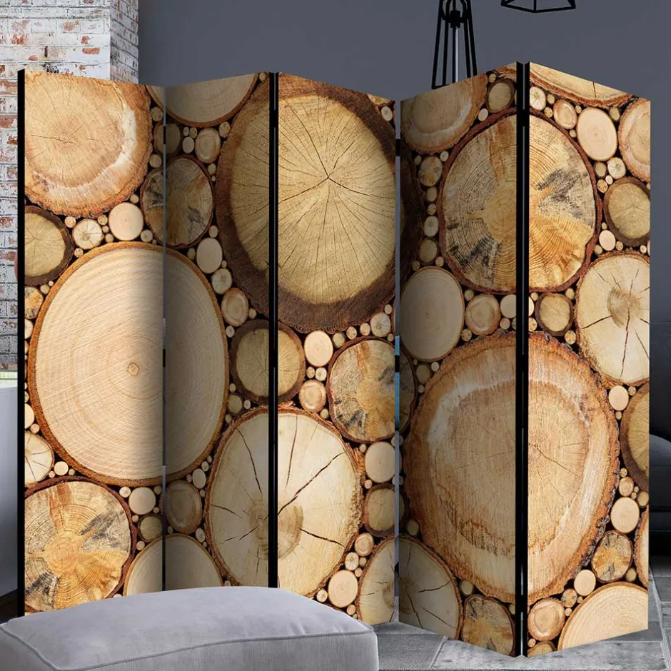 Paravents|Raumteiler*Pharao24 Zimmer Sichtschutz Cemzaja