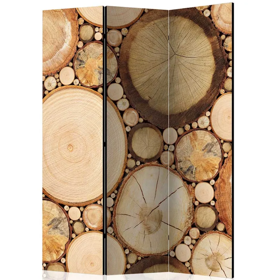 Paravents|Raumteiler*Pharao24 Zimmer Sichtschutz Cemzaja