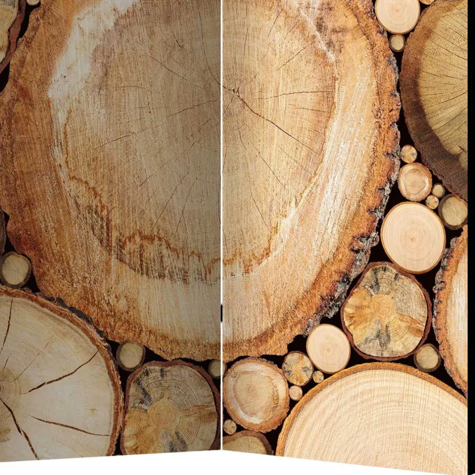 Paravents|Raumteiler*Pharao24 Zimmer Sichtschutz Cemzaja