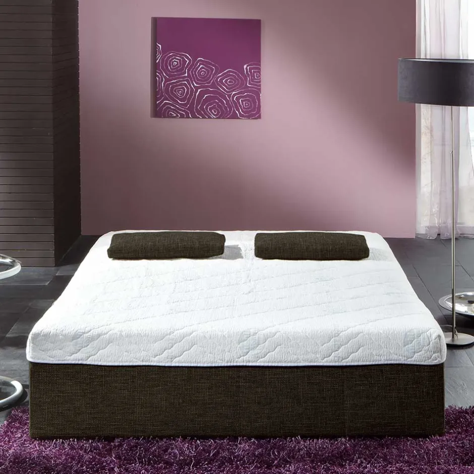 Pharao24 Zweier Schlafsofa Enzigo> Wohnzimmercouch|2 Sitzer Sofa